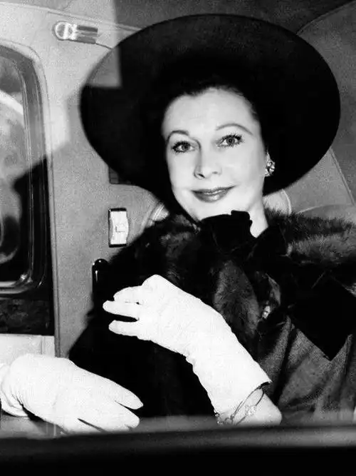 费雯·丽老年照.