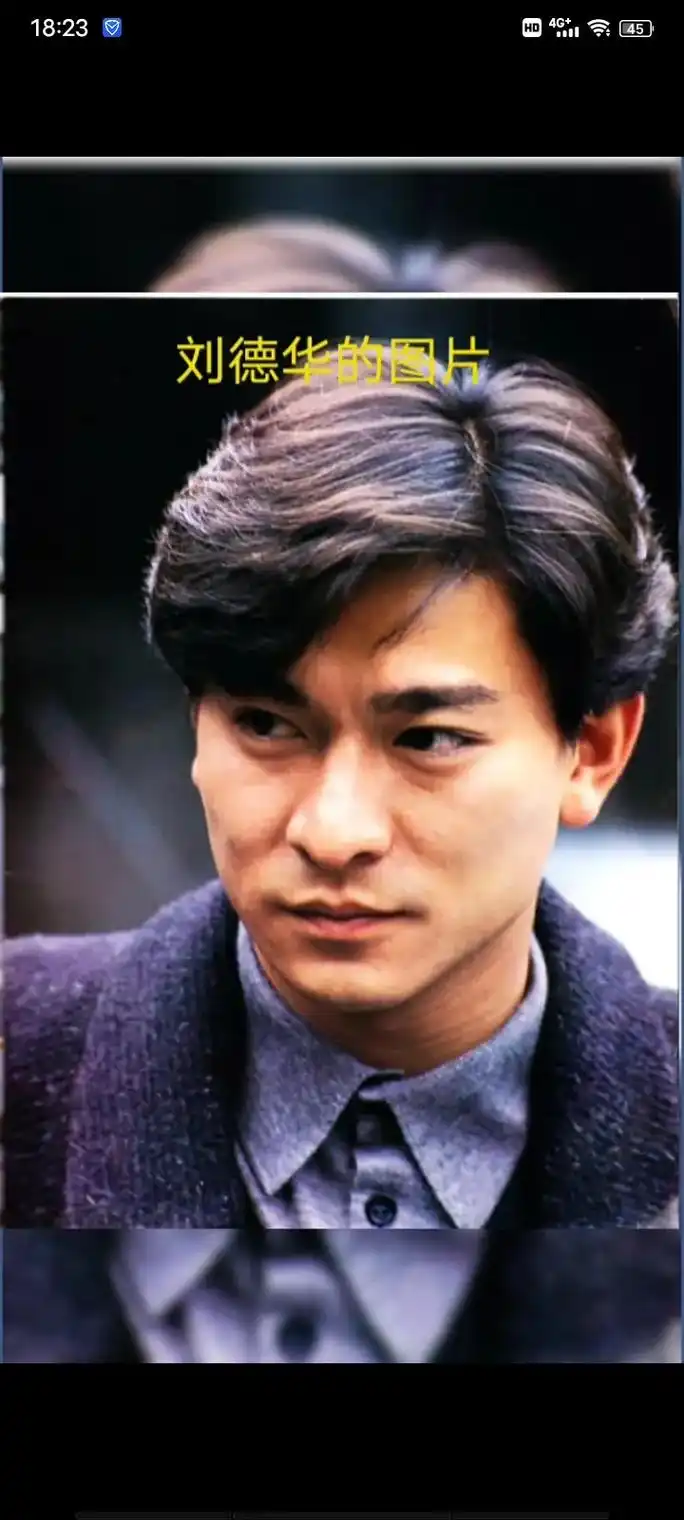 刘德华的图片