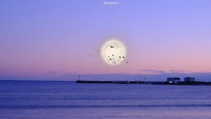 背景图紫色系背景图唯美