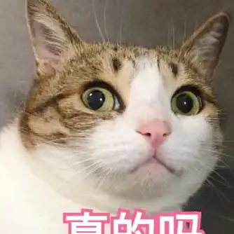 当然,除了楼楼,还用很多网红猫咪表情包,用表情包也是云养猫的一种