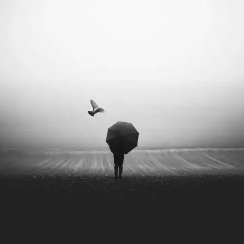 ins上最值得收藏的8位宝藏黑白摄影博主