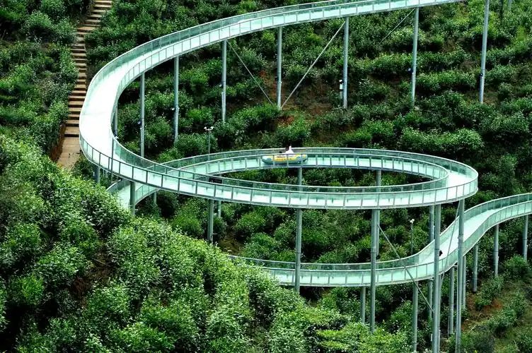 清李的美篇:蒲川,清河高山茶园玻璃水滑道