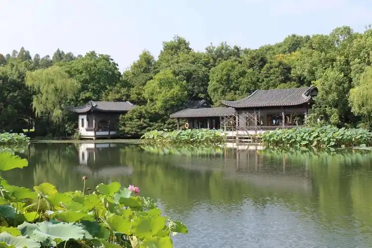 杭州西湖十景——曲院风荷 - 美篇