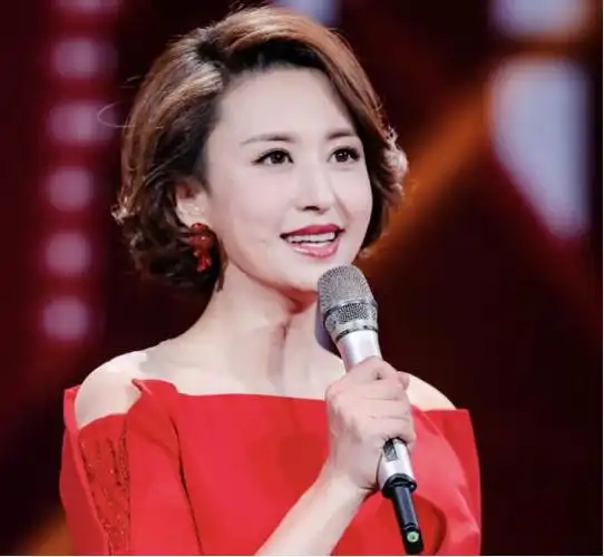 董卿主持的综艺节目排行榜_央视主持人名单调整,龙洋转战综艺频道,有