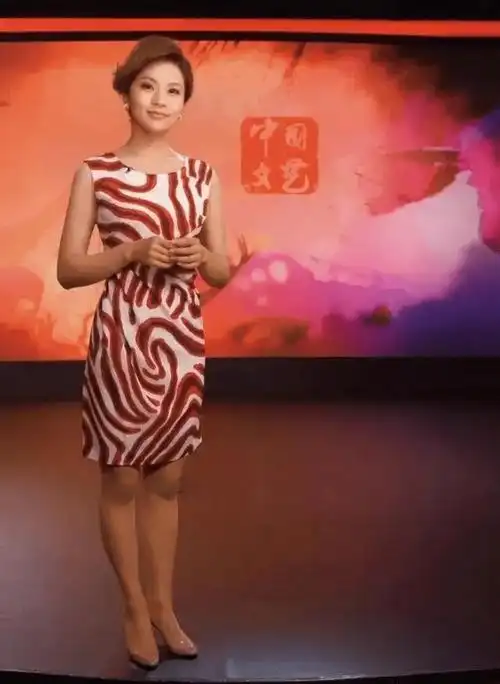 原创主持人孟盛楠24岁进央视36岁登上春晚如今41岁仍单身未婚