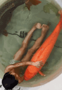 211_306gif 动态图 动图