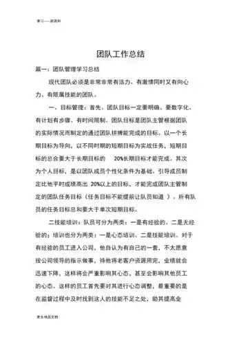 团队工作总结资料.docx 8页