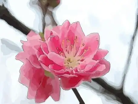 如何用爱情顺利风水求姻缘风水旺桃花运