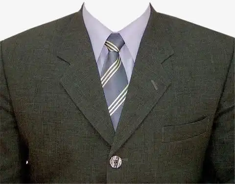 西装模板免抠素材免费下载_觅元素51yuansu.com