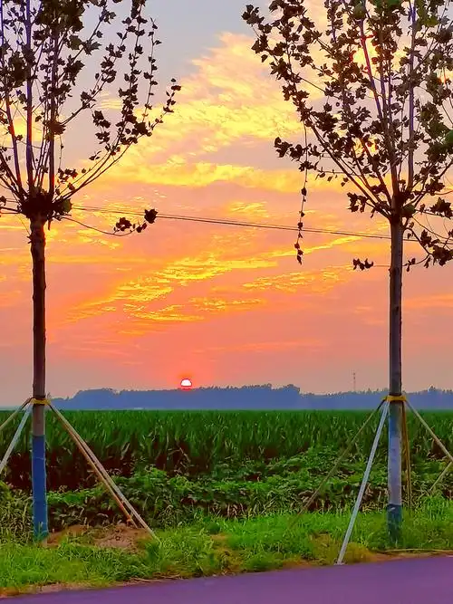 乡村夕阳美景走一波,浓浓的乡土气息