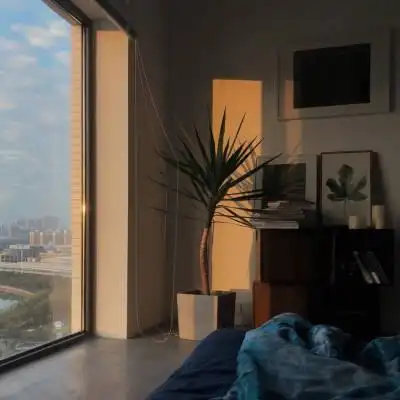 ins网红手机背景