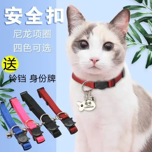 幼猫猫咪安全扣项圈猫项圈小猫咪刻字身份牌尼龙防走失项圈猫吊牌