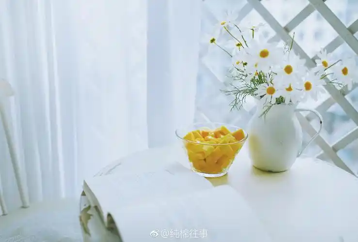 惬意的午后照片里的清闲