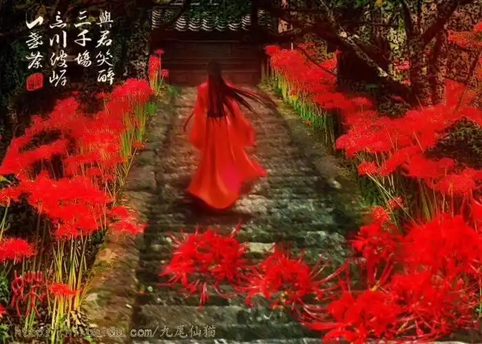 彼岸花三生石奈何桥传说