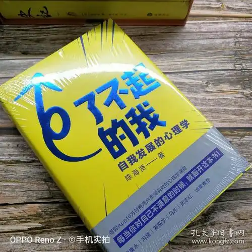 了不起的我:自我发展的心理学