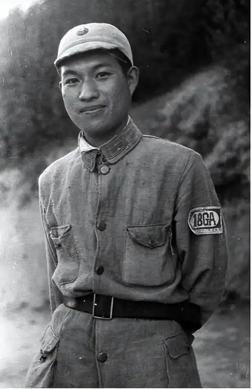 公章上的数字是什么,公章上的数字是什么意思用换吗(八路军和新四军有