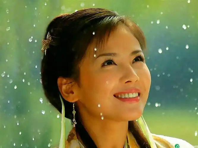 求这张图片出处 刘涛拍的哪部电视剧的那一集?