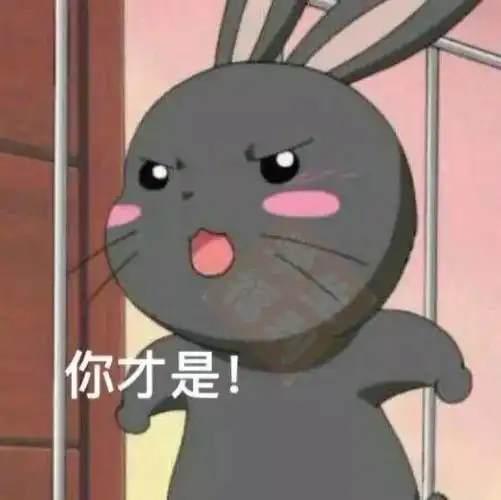 《搞笑动物做头像,我们不一样》动物情侣头像无水印原图请查看文末