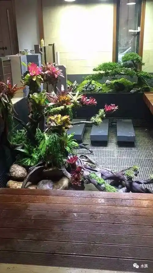 别人家的室内景观台,没有对比就没有伤害!