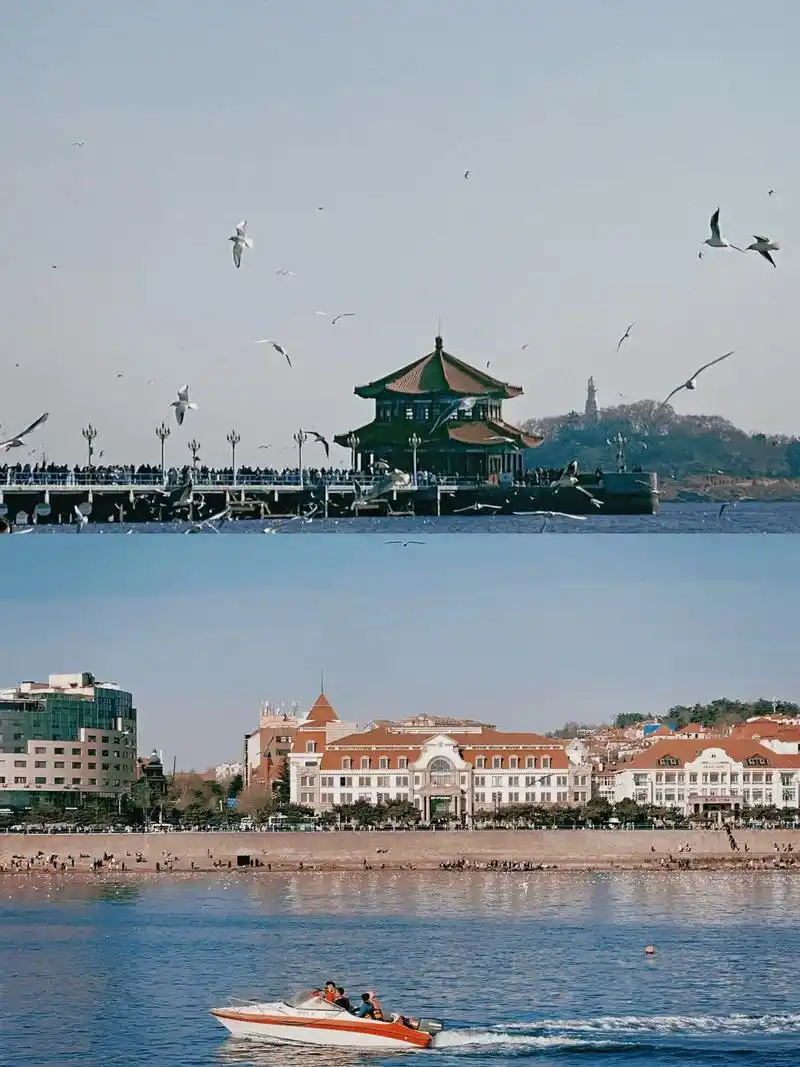 青岛栈桥.一封来自西伯利亚的蓝色情书💌🕊️下午两点的栈 - 抖