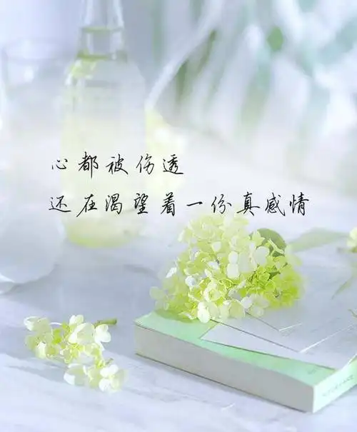 悲伤无助绝望心凉的句子 关于痛心难过的句子 伤心难过的图片