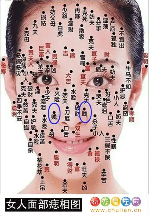 孝顺痣4,多福多灾痣5,四季不安痣6,淫荡痣(淫,好色痣)7,小人痣8,损姑