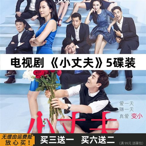 vyopbc【小丈夫 】家庭情感电视剧完整版 dvd碟片光盘 俞飞鸿 杨玏