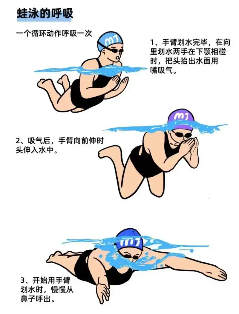 蛙泳的正确示范图.你是不是一抬头换气,身体就下沉? 塌腰的原 - 抖音