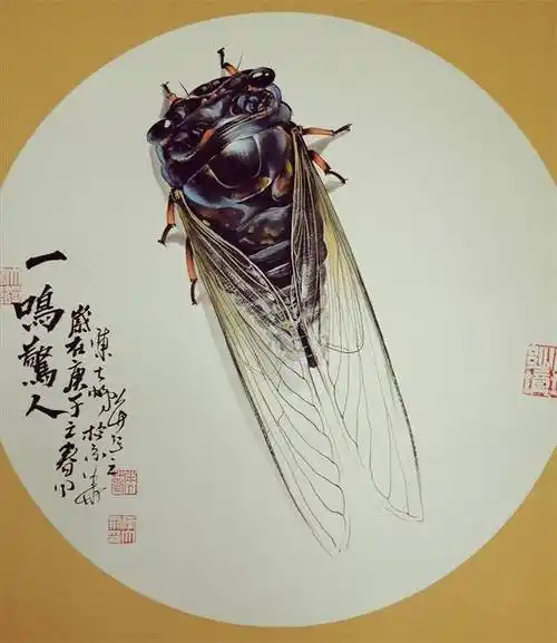 陈大鹏画蝉作品