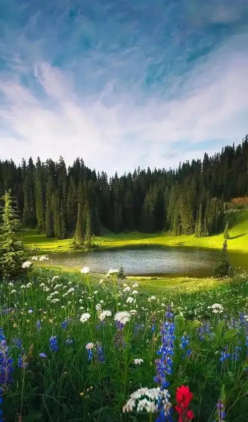 一组春天气息的美图,一组春天气息的美图大全(充满春天气息的美景图片