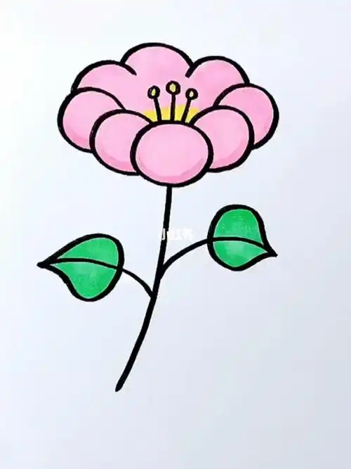 简笔画教程画花教程你喜欢花吗