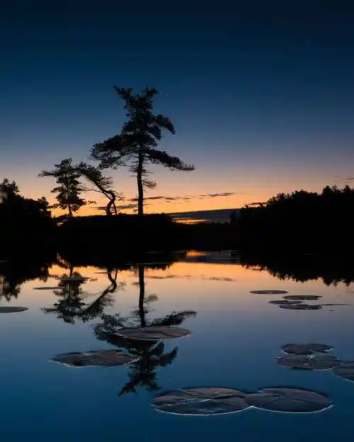 在风光摄影中使用对焦包围曝光和景深合成