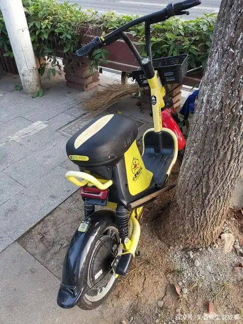 永州"小黄鸭"电动车乱停乱放何时休?