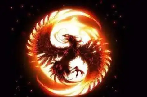 十二星座的守护神兽凤凰,12星座的眼泪代表什么