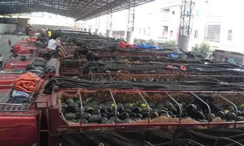 【东莞下桥市场代销西瓜批发西瓜】