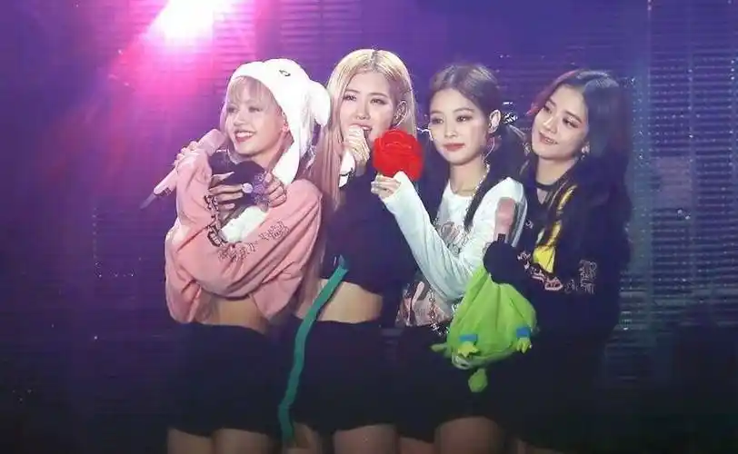 之前因为被传出霸凌lisa,表演划水等被大众认识.