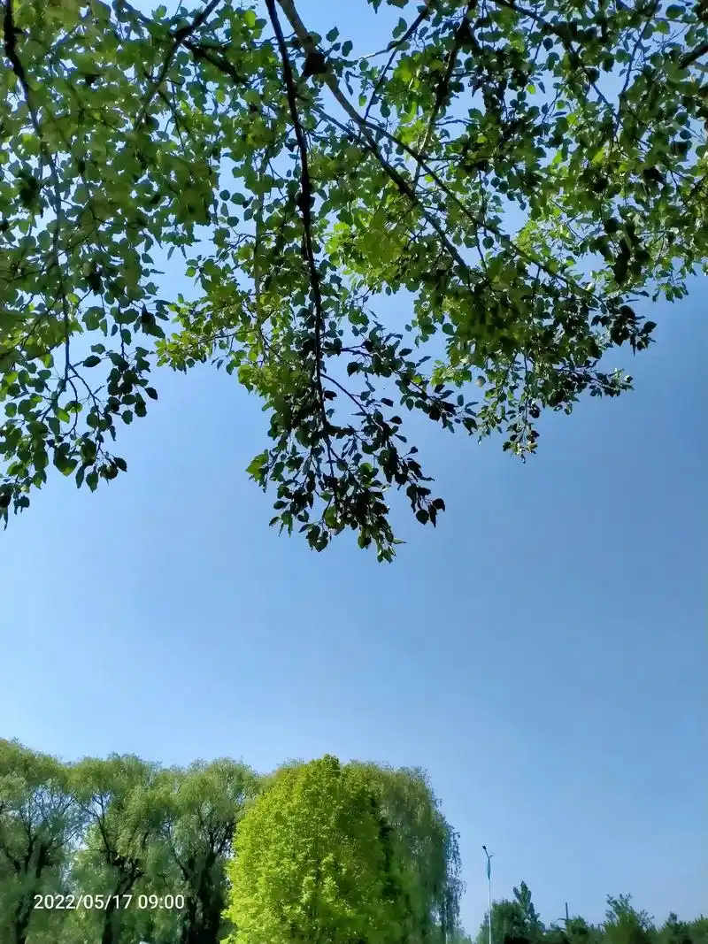 生活随拍记录美好风景 据说抖音可以 评论发图片了,快快留下 - 抖音