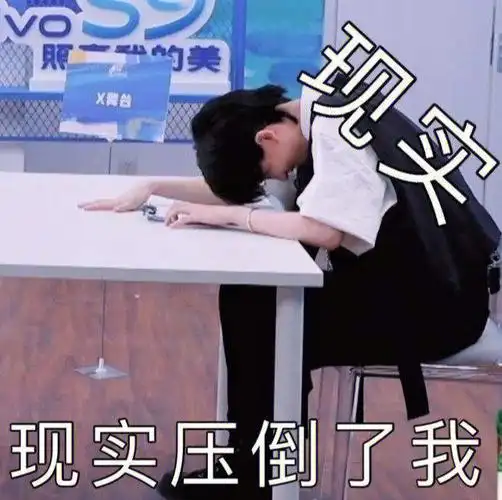 陆柯燃表情包第2代