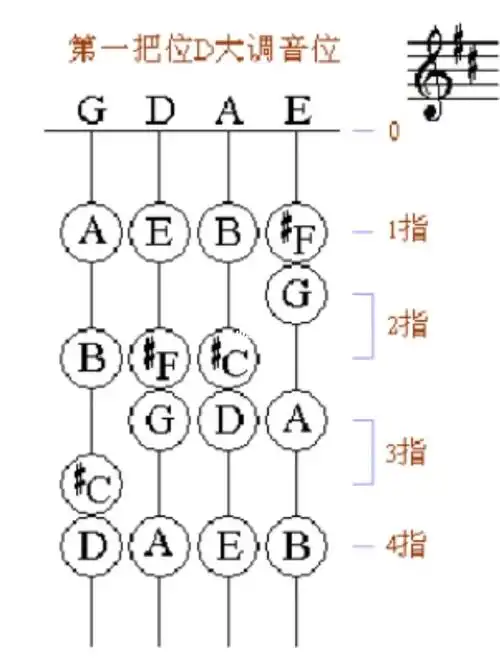 小提琴一把位d大调手型