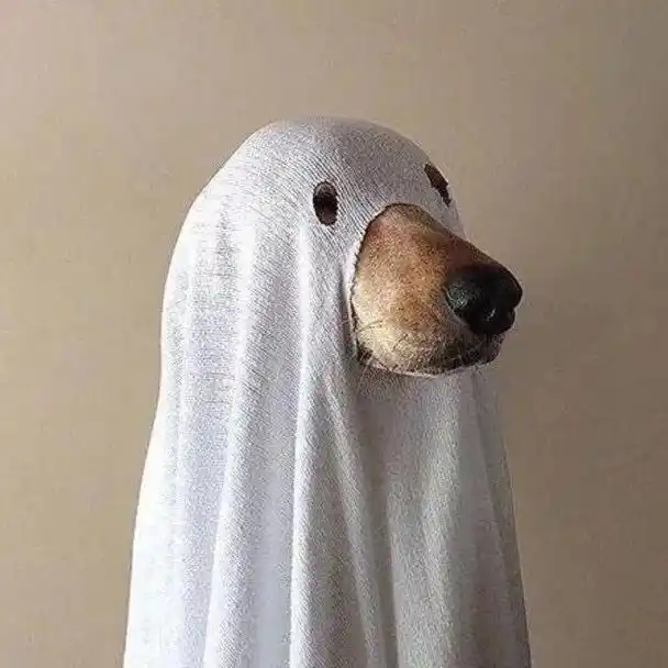 沙雕头像:沙雕微信头像,你值得拥有