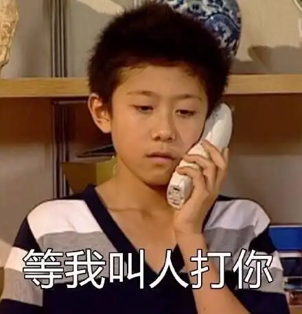 等我叫人打你二(家有儿女刘星)