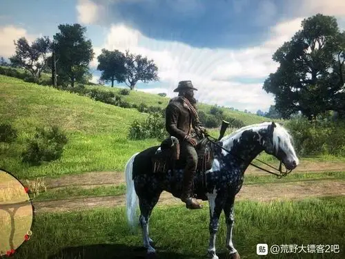 荒野大镖客2reddeadredemption2刷密苏里狐步马方法详解