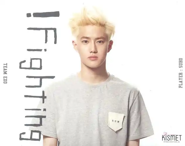 求exo这张的12个成员的单人照