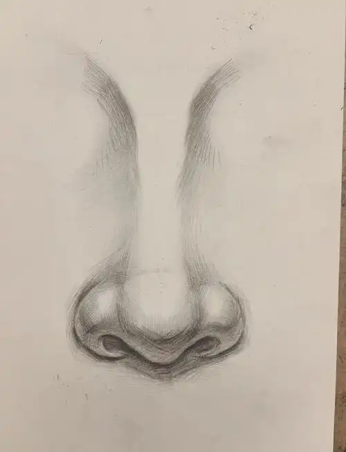 素描鼻子教程:从零开始画鼻子