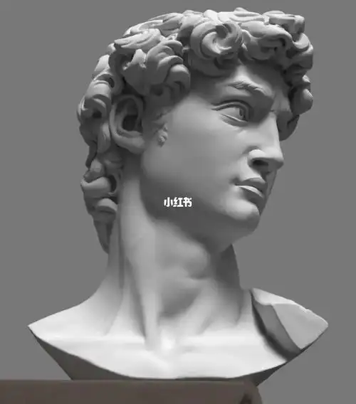 大卫石膏素描  #美术生的日常  #石膏像素描  #美术生集训  #零淮础