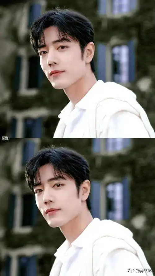 花香满屏 花田王子 肖战特别美好治愈