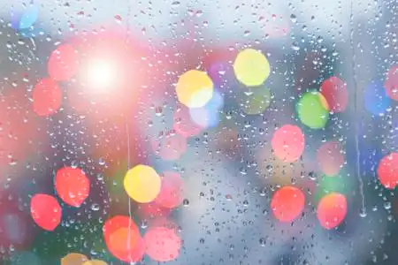 雨水落在鸡蛋花图片-雨水落在鸡蛋花素材-雨水落在鸡蛋花插画-摄图新