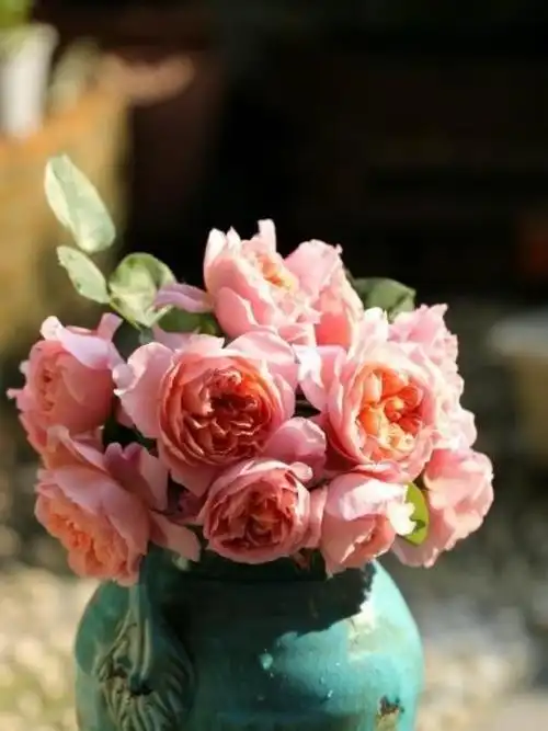 致自己2020年的简短句子,精致唯美,触动心灵!