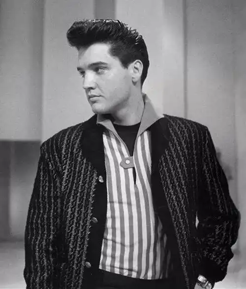 猫王和他的飞机头 [油脂]中主角也