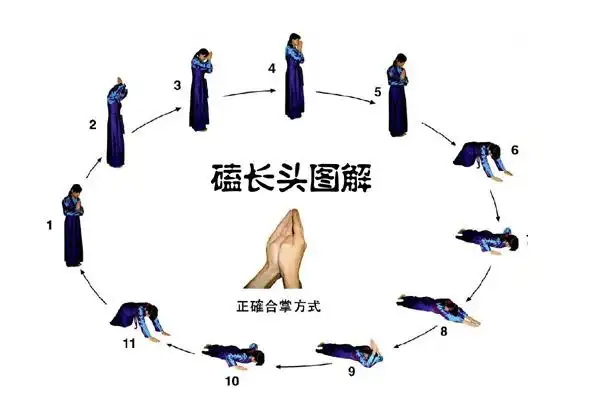 同心共筑德育新篇,携手创新育人华章 ——北京市大中